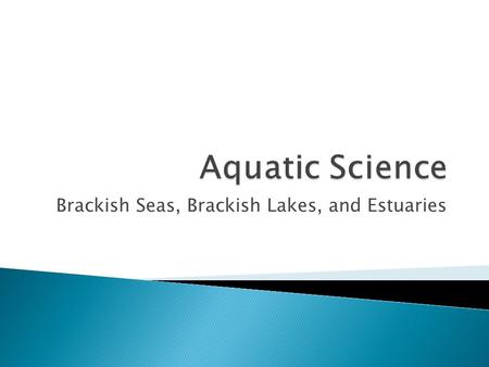 Brackish Seas, Brackish Lakes, and Estuaries.  The Baltic Sea is a brackish sea adjoining the North Sea.  Because the salt water coming in from the.