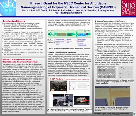 This material is based on work funded by the National Science Foundation (Grant # 0914790) Phase II Grant for the NSEC Center for Affordable Nanoengineering.