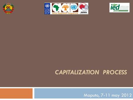 CAPITALIZATION PROCESS Maputo, 7-11 may 2012. Different phases of capitalization Planning Analysis Formatting results Characterisation Description Sharing.