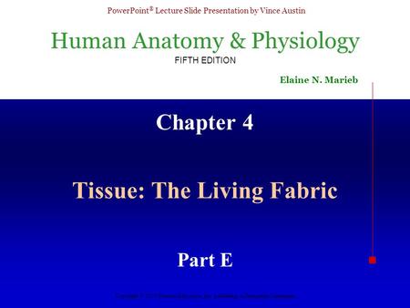 Human Anatomy & Physiology FIFTH EDITION Elaine N. Marieb PowerPoint ® Lecture Slide Presentation by Vince Austin Copyright © 2003 Pearson Education, Inc.