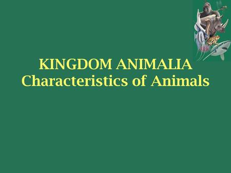 KINGDOM ANIMALIA Characteristics of Animals. Picasso time! 3 minutes! Draw the first thing that comes to mind when you hear the word……. ANIMAL.