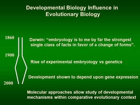 Darwin: “embryology is to me by far the strongest single class of facts in favor of a change of forms”. 1860 1900 2000 Rise of experimental embryology.