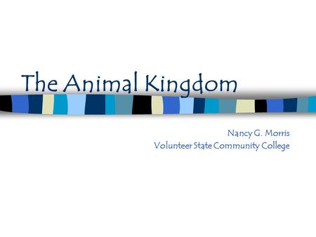 The Animal Kingdom Nancy G. Morris Volunteer State Community College.