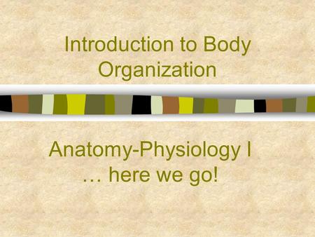 Introduction to Body Organization Anatomy-Physiology I … here we go!