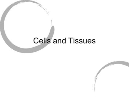 Cells and Tissues. Plasma Membrane Selective permeability Fluid-mosaic model Important features: Phospholipid bilayer Membrane proteins Glycolipids /