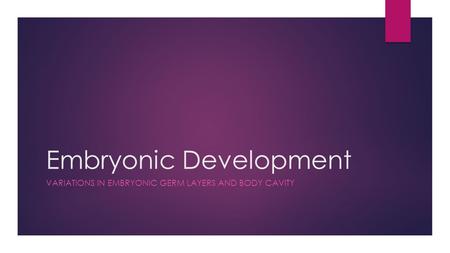 Embryonic Development VARIATIONS IN EMBRYONIC GERM LAYERS AND BODY CAVITY.