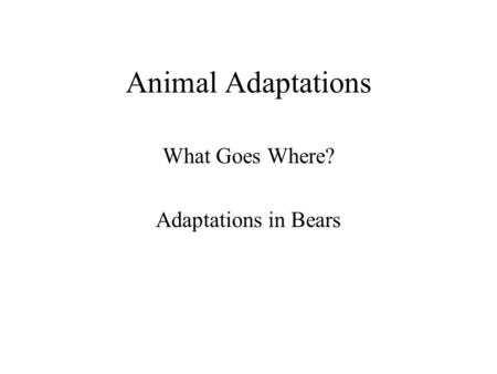 Animal Adaptations What Goes Where? Adaptations in Bears.