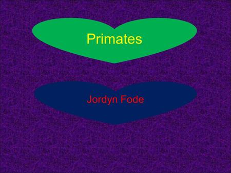 Jordyn Fode Primates Primates are monkeys. They all are mammals. They are partly covered with fur. They all have either brown, orange, or black fur.