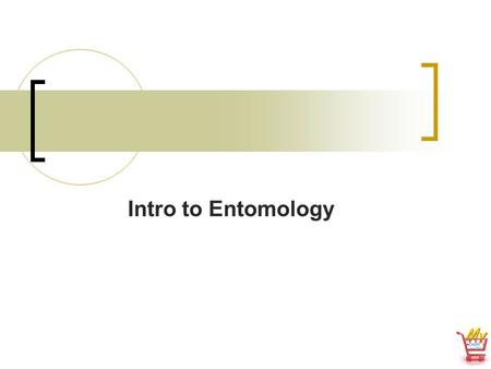 Intro to Entomology. What is Entomology? Entomology is the study of insects. The study of insects includes their development, anatomy, physiology, life.