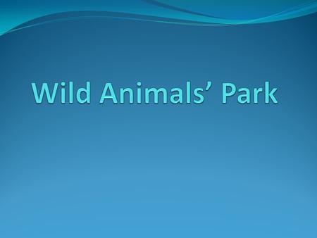 1. Agree or disagree. -The Zoo which you have read about is in London. -Trees and flowers grow in that Zoo. -The Zoo is open every day.