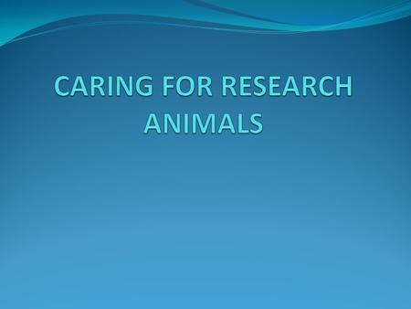  Good care is important to the research process as a whole  Animals that are treated well provide the normal biological and behavioral responses researchers.