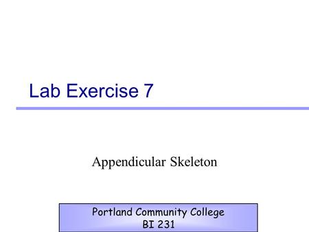 Appendicular Skeleton