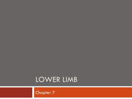 LOWER LIMB Chapter 7. Pelvic (hip) Girdle Attaches the lower limb to the axial skeleton Secured to the axial skeleton with the strongest ligaments in.