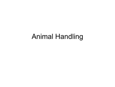 Animal Handling. Why? We as producers of Animal Products should be concerned of how we handle our product The consumer/public is more aware of animal.