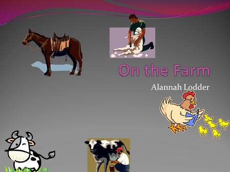 Alannah Lodder. Animals on farms Pigs Sheep Cow Goat Chicken Sheep dog horses.