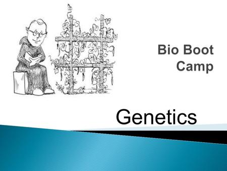 Genetics.  Process of DNA being copied before cell division occurs  Must make an exact copy or mutations will occur (which could be harmful)  The.