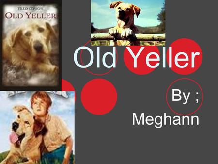 Old Yeller By ; Meghann Authors Biography He was born Febuary7,1908. He also had a son. He died August 14,1973,he also graduated in 1926 from Mason High.