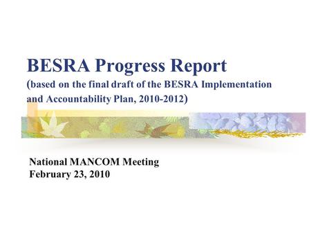 BESRA Progress Report ( based on the final draft of the BESRA Implementation and Accountability Plan, 2010-2012 ) National MANCOM Meeting February 23,