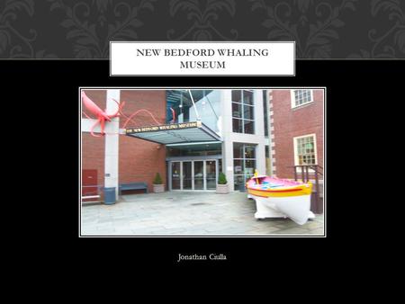 Jonathan Ciulla NEW BEDFORD WHALING MUSEUM. New Bedford became the largest whaling port in the world between 1815- 1825. The residents primarily hunted.