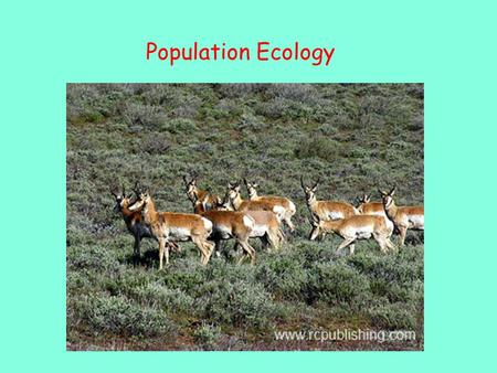 Population Ecology. Study of populations in relation to environment –Environmental influences on: population density population distribution (dispersion)