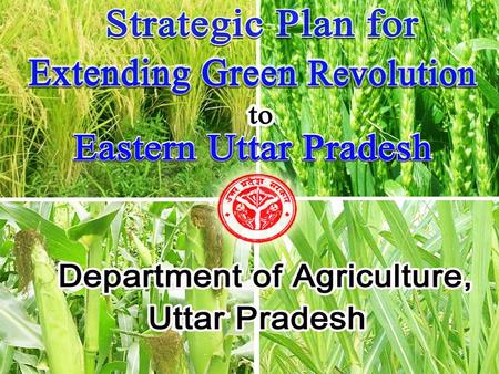 1 Department of Agriculture UP. 2 Tarai Central Western Plain Western Plain Central Plain Semi Arid South Western Plain Bundelkhand Eastern Plain North.