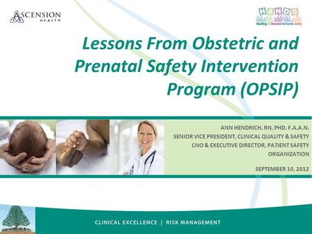 ANN HENDRICH, RN, PHD, F.A.A.N. SENIOR VICE PRESIDENT, CLINICAL QUALITY & SAFETY CNO & EXECUTIVE DIRECTOR, PATIENT SAFETY ORGANIZATION SEPTEMBER 10, 2012.