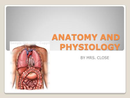 ANATOMY AND PHYSIOLOGY BY MRS. CLOSE DIRECTIONAL TERMS.