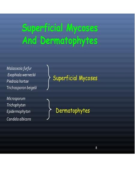 Dermatophytes Infection