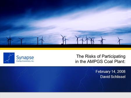 The Risks of Participating in the AMPGS Coal Plant: February 14, 2008 David Schlissel.