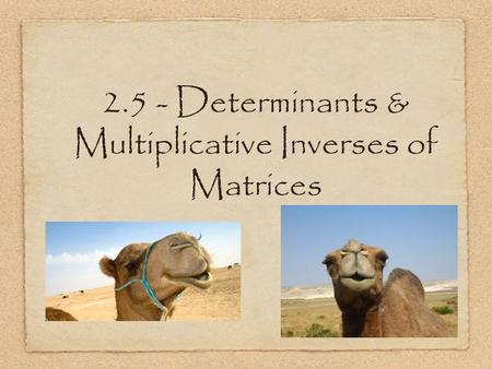 2.5 - Determinants & Multiplicative Inverses of Matrices.