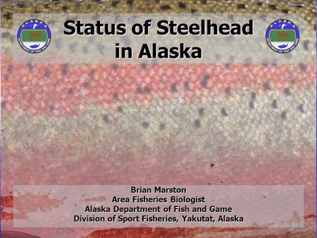 Status of Steelhead in Alaska Brian Marston Area Fisheries Biologist Alaska Department of Fish and Game Division of Sport Fisheries, Yakutat, Alaska.