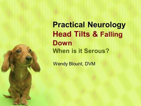 Practical Neurology Head Tilts & Falling Down When is it Serous? Wendy Blount, DVM.