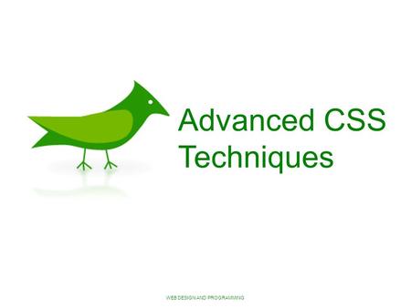 WEB DESIGN AND PROGRAMMING Advanced CSS Techniques.