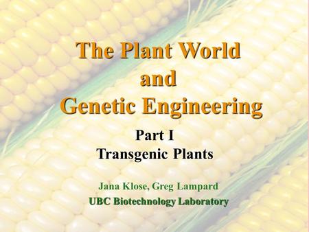 The Plant World and Genetic Engineering Jana Klose, Greg Lampard UBC Biotechnology Laboratory Part I Transgenic Plants.