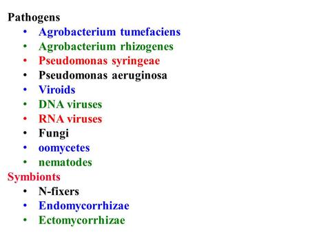 Pathogens Agrobacterium tumefaciens Agrobacterium rhizogenes Pseudomonas syringeae Pseudomonas aeruginosa Viroids DNA viruses RNA viruses Fungi oomycetes.