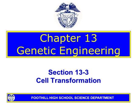 Chapter 13 Genetic Engineering