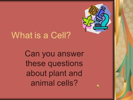 What is a Cell? Can you answer these questions about plant and animal cells?