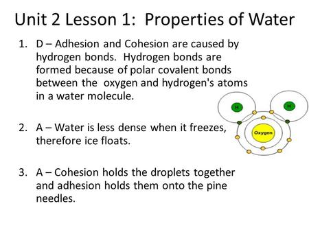 Unit 2 Lesson 1: Properties of Water 1.D – Adhesion and Cohesion are caused by hydrogen bonds. Hydrogen bonds are formed because of polar covalent bonds.