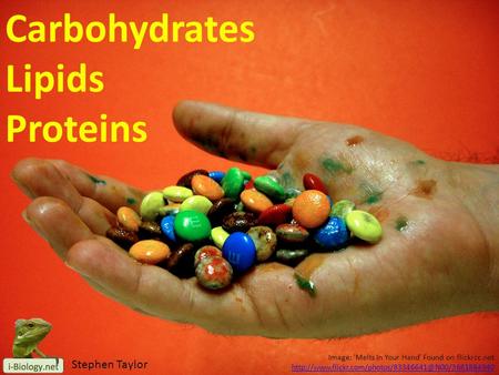 Image: 'Melts In Your Hand' Found on flickrcc.net Carbohydrates Lipids Proteins Stephen Taylor.