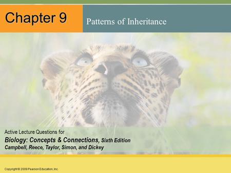 Copyright © 2009 Pearson Education, Inc. Active Lecture Questions for Biology: Concepts & Connections, Sixth Edition Campbell, Reece, Taylor, Simon, and.