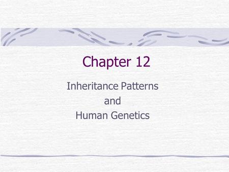 Chapter 12 Inheritance Patterns and Human Genetics.