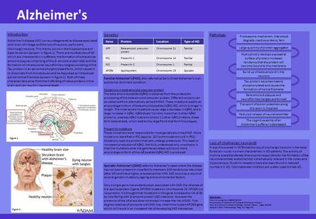 Introduction Alzheimer’s disease (AD) is a neurodegenerative disease associated with brain shrinkage and the loss of neurons, particularly cholinergic.