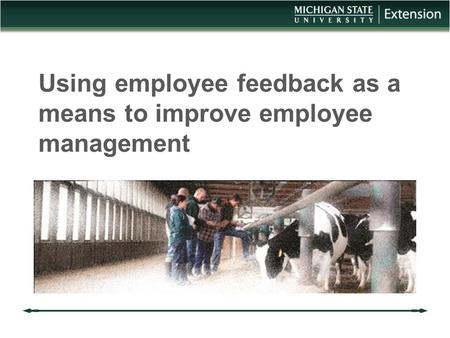 Using employee feedback as a means to improve employee management.