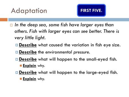 Adaptation FIRST FIVE.  In the deep sea, some fish have larger eyes than others. Fish with larger eyes can see better. There is very little light.  Describe.