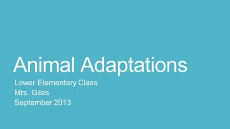 Animal Adaptations Lower Elementary Class Mrs. Giles September 2013.