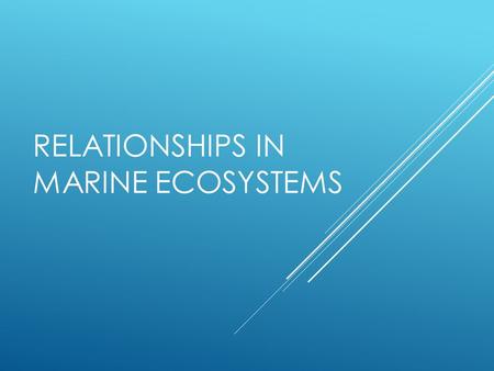 RELATIONSHIPS IN MARINE ECOSYSTEMS. Energy Flow Sunlight – main energy source for life on Earth. Goes through ecosystem in one direction, from sun or.