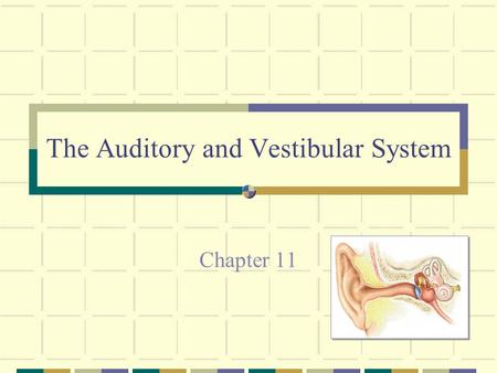 The Auditory and Vestibular System