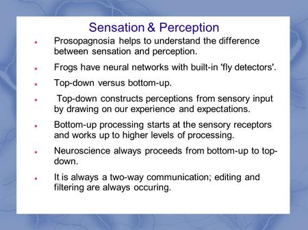 Sensation & Perception