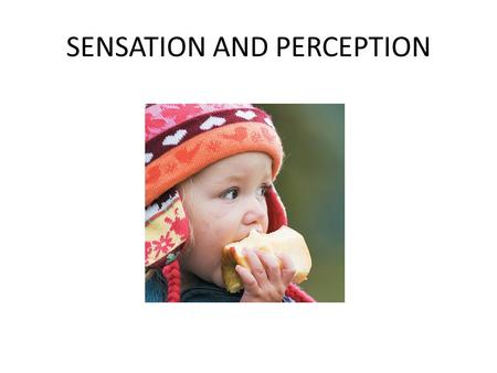 SENSATION AND PERCEPTION. Sensation—the process of detecting a physical stimulus Perception—the process of integrating, organizing and interpreting sensations.