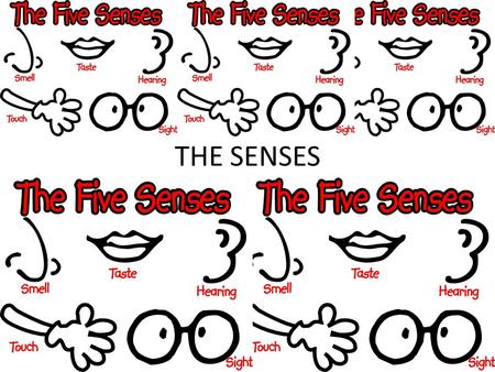 THE SENSES. SENSORY INPUTS BECOME SENSATIONS AND PERCEPTIONS IN THE BRAIN – SENSATION AN AWARENESS OF SENSORY STIMULI – PERCEPTION A MEANINGFUL INTERPRETATION.